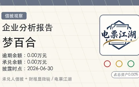 梦百合家居科技股份有限公司