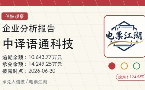 中译语通科技企业分析报告封面