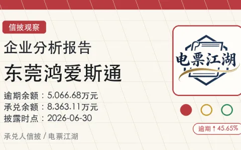 东莞鸿爱斯通企业分析报告封面