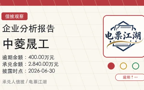 中菱晟工企业分析报告封面